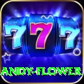 andy flower Max v1.6.4