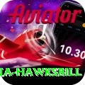 antigua hawksbill Deluxe Edition v2.1.7