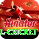 bbl cricket Max Pro v5.5.4