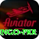 Bingo PKR Pro Edition v2.5.9