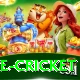 bpl live cricket Pro