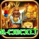 century predictor cricket Premium Plus v5.2.4