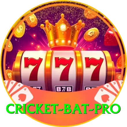 cricket bat Cash Gold - 2