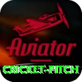 cricket pitch Deluxe v1.9.9