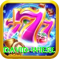 david wiese Deluxe Pro v4.8.5