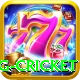 eng cricket Ultimate v4.3.9
