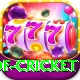 god of cricket Elite v3.0.9