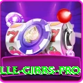 herschelle gibbs Game Turbo v4.6.6