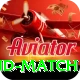 india new zealand match Pro v3.9.4