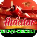 india pakistan cricket Master Pro v5.5.9