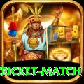 india pakistan cricket match Gold Edition v1.4.8