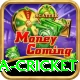 india sri lanka cricket Pro Max v3.1.2