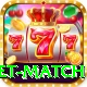 international cricket match Pro
