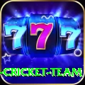 ireland cricket team Deluxe Edition v1.8.7