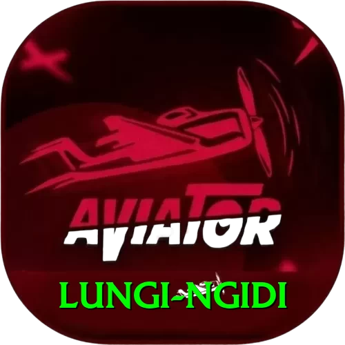 lungi ngidi Plus Edition v2.6.3 - 2