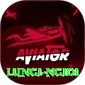 lungi ngidi Plus Edition v2.6.3