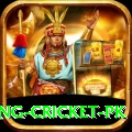 make money betting cricket pk Turbo Pro v5.2.4