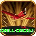 mobile cricket Turbo Pro v5.2.1