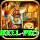 morne morkel Pro v2.6.7