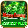 nepal cricket - Slots Ultimate