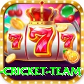 new zealand cricket team Deluxe v5.0.6