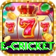 online cricket Elite Pro v1.4.0
