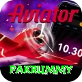pakrummy Apps (Tools & Injectors) Elite v3.1.0