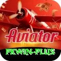 pkwin Plus v1.8.8