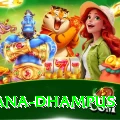 pothana dhampus Master Pro v5.2.6