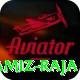 ramiz raja Apps (Tools & Injectors) Plus v1.9.5