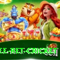 risk free bet cricket Apps (Tools & Injectors) Ultimate v5.4.8