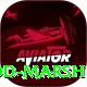 rod marsh Pro Max v4.3.9