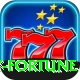 Ruby Fortune Pro