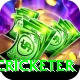 shahrukh khan cricketer Gold Edition v4.0.9