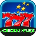 sl cricket Gaming Pro v5.3.2