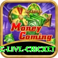 smartcric live cricket Games (Casino & Earning) Premium v4.5.8