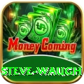 steve waugh Master Pro v4.1.6