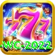 t20 wc 2022 Turbo v1.3.2