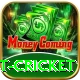 test cricket VIP Pro v3.3.6