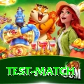 test match Premium Edition v2.4.7