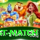 test match Premium Edition v2.4.7
