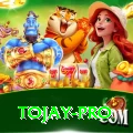 tojay Master Pro v1.5.5