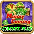 v cricket Royal Gaming App