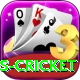 west indies cricket Master Pro v1.3.1