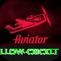 willow cricket Premium Edition v3.1.2