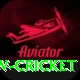 willow cricket Premium Edition v3.1.2