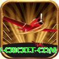 www cricket com Premium Plus v1.8.9